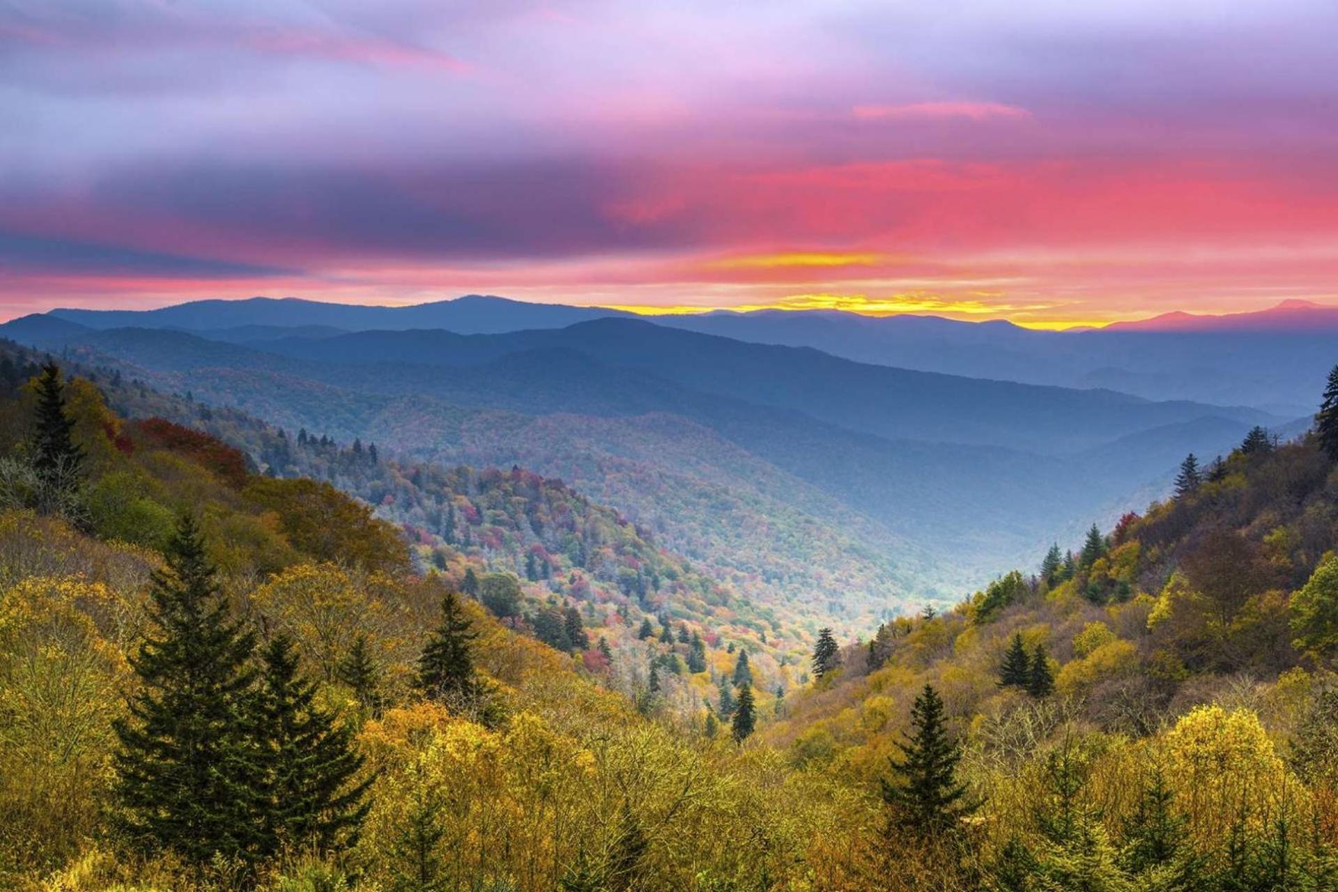Knot A Kabin Pigeon Forge Εξωτερικό φωτογραφία