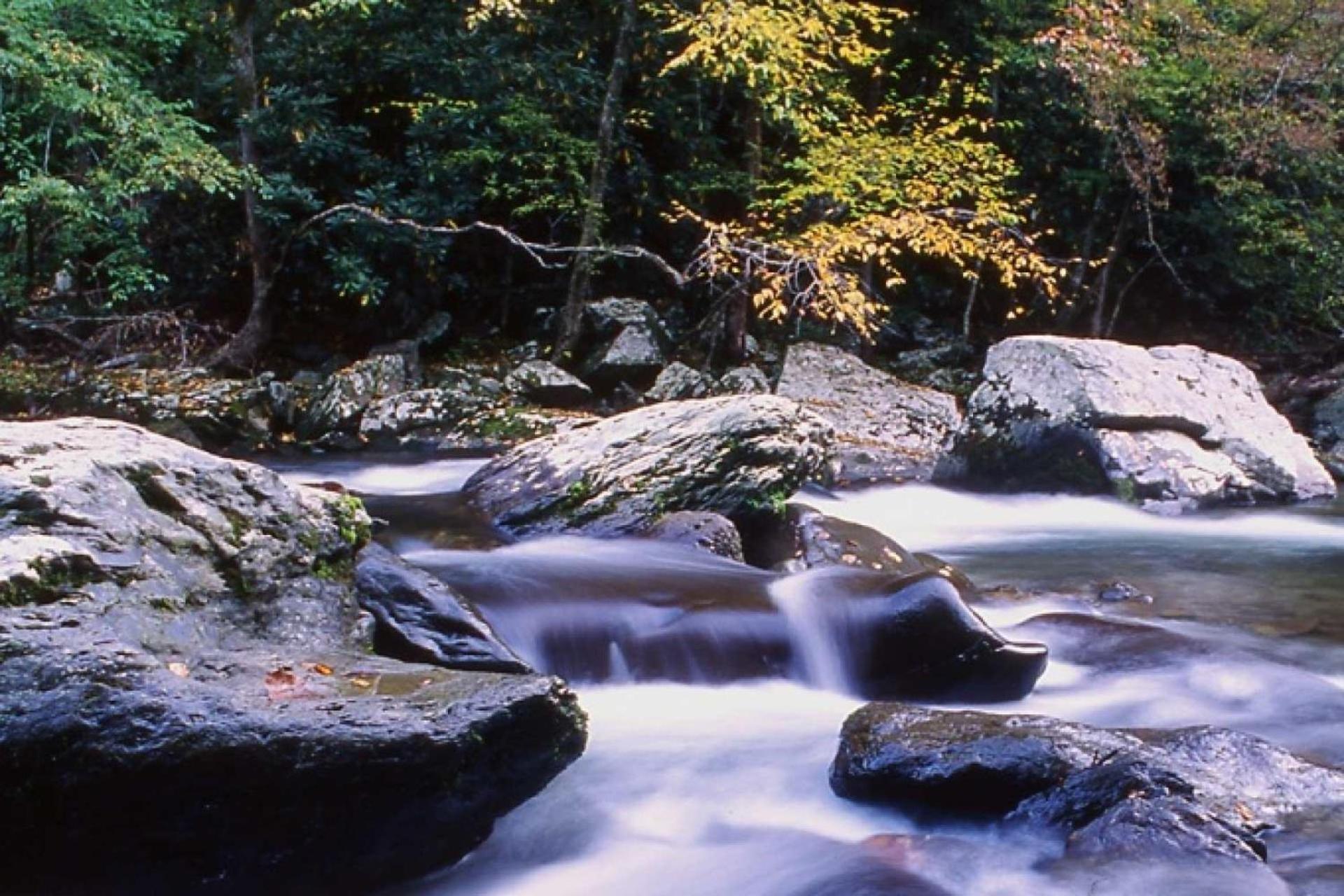 Knot A Kabin Pigeon Forge Εξωτερικό φωτογραφία